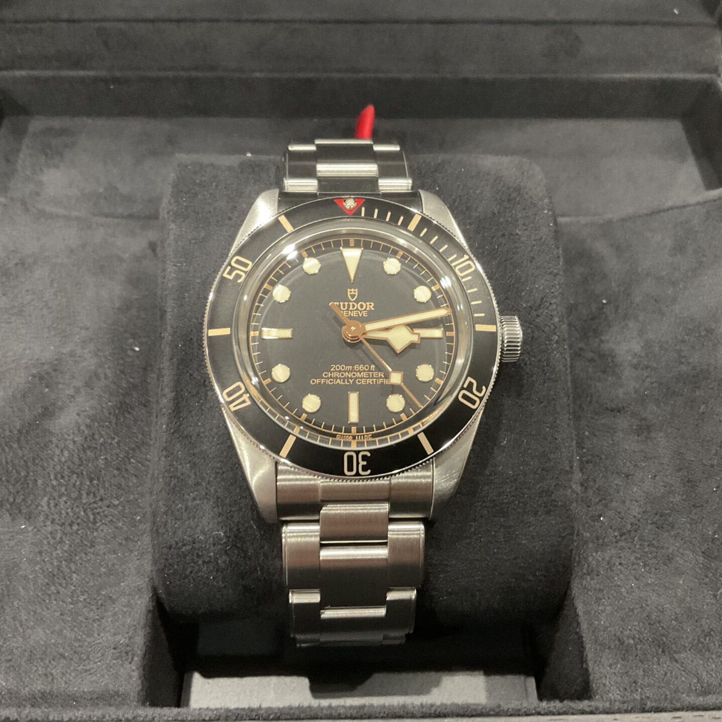 Tudor Black Bay1_1_11zon
